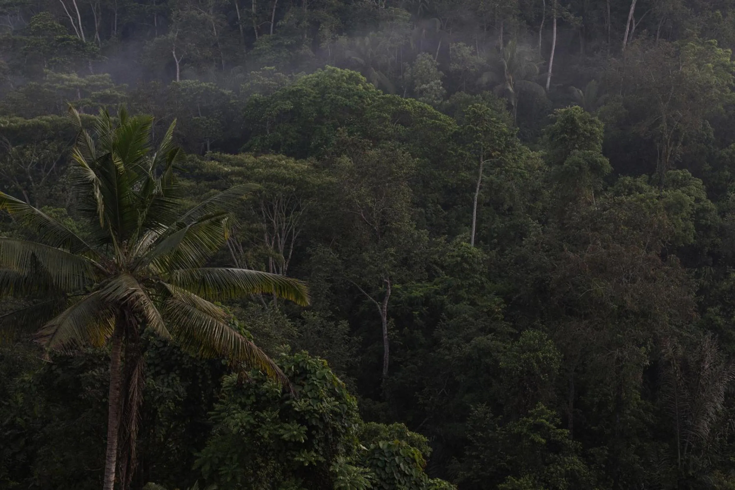 Natural landscape in BELALU Bali Boutique & SPA experience
