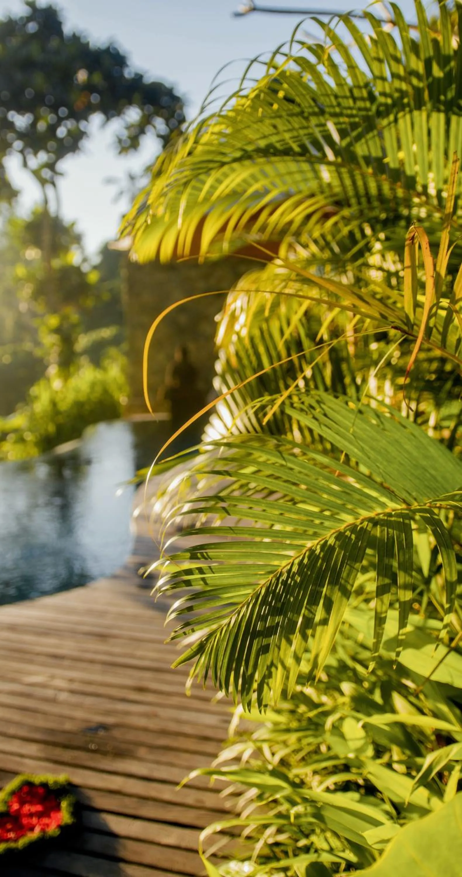 Garden in BELALU Bali Boutique & SPA experience