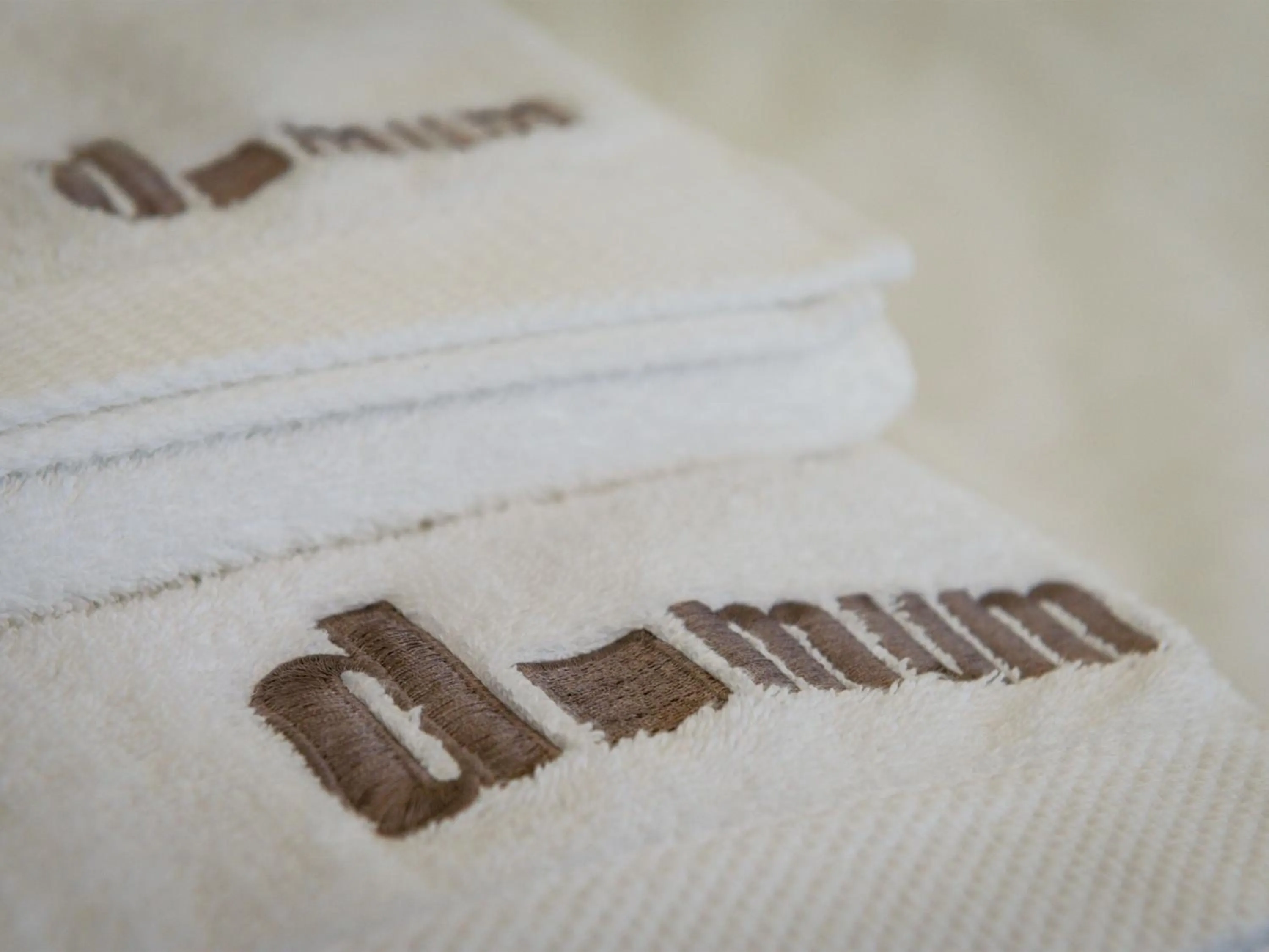 Logo/Certificate/Sign in Domum