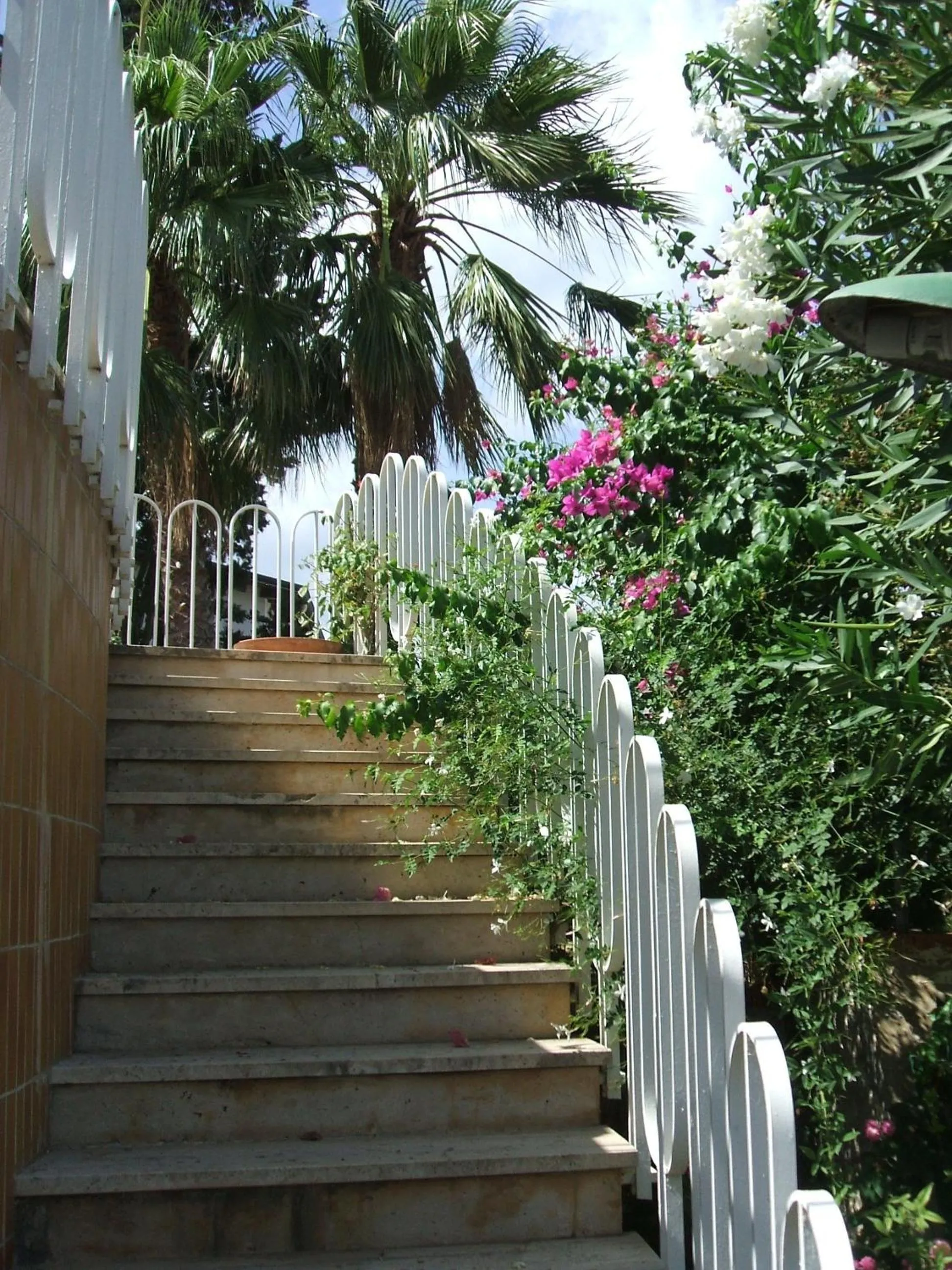 Villa Aliotis