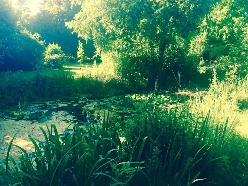 Garden in Le Coq En Pate