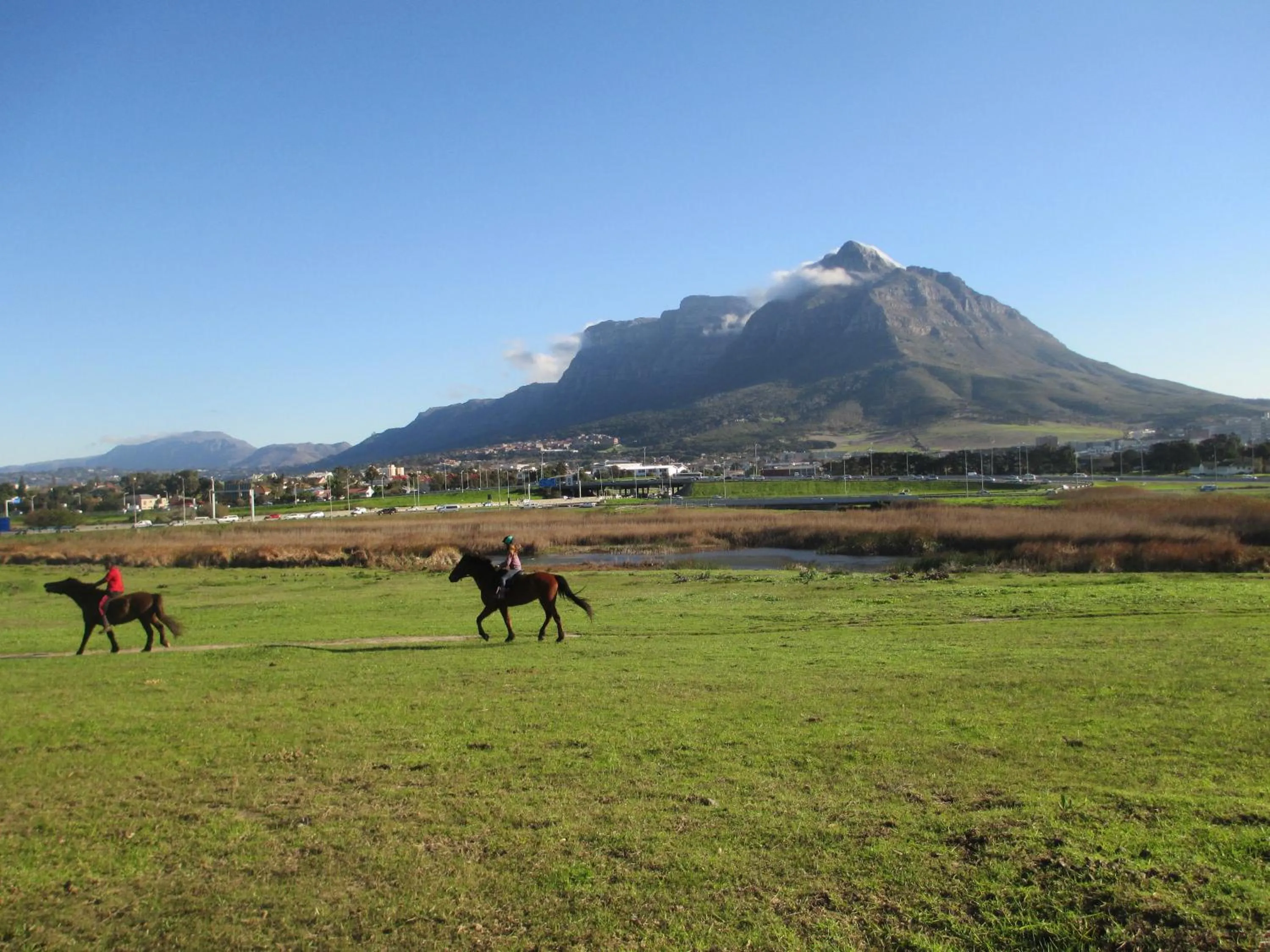 Natural landscape in Lighthouse Farm Backpackers Lodge