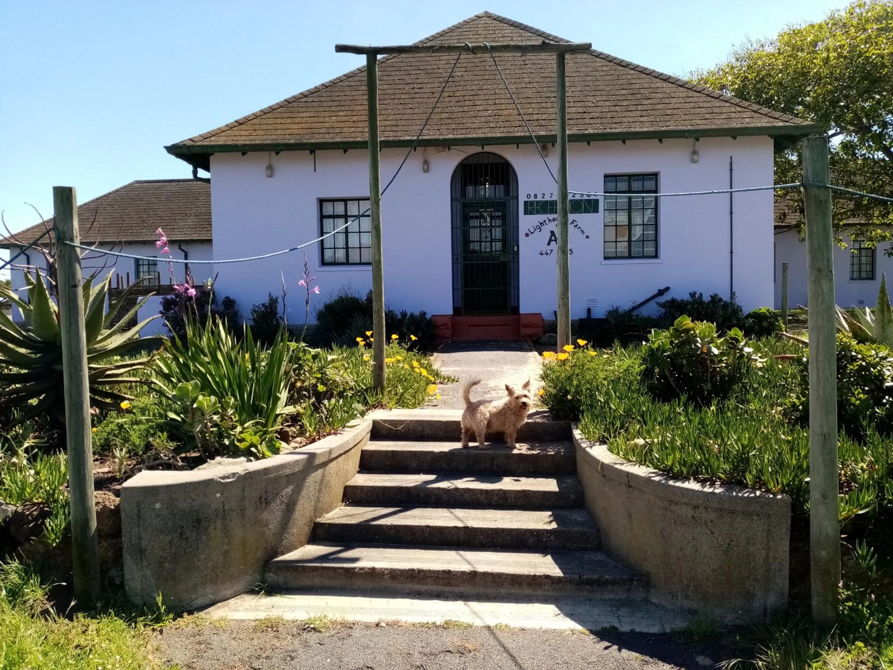 Facade/entrance in Lighthouse Farm Backpackers Lodge