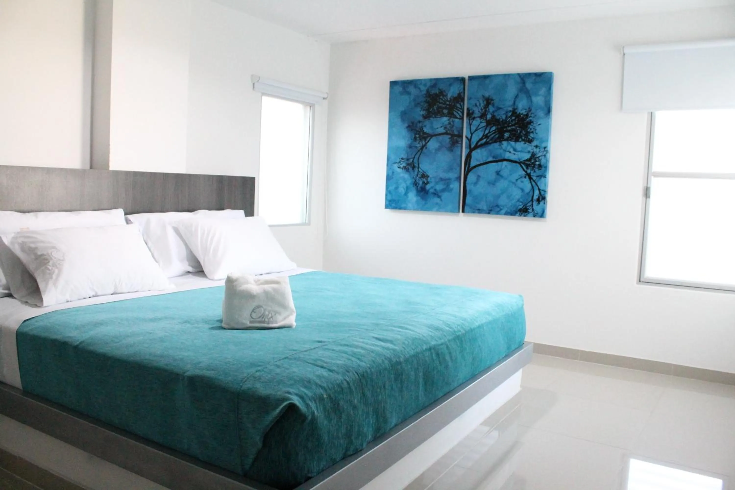 Hotel Onix T