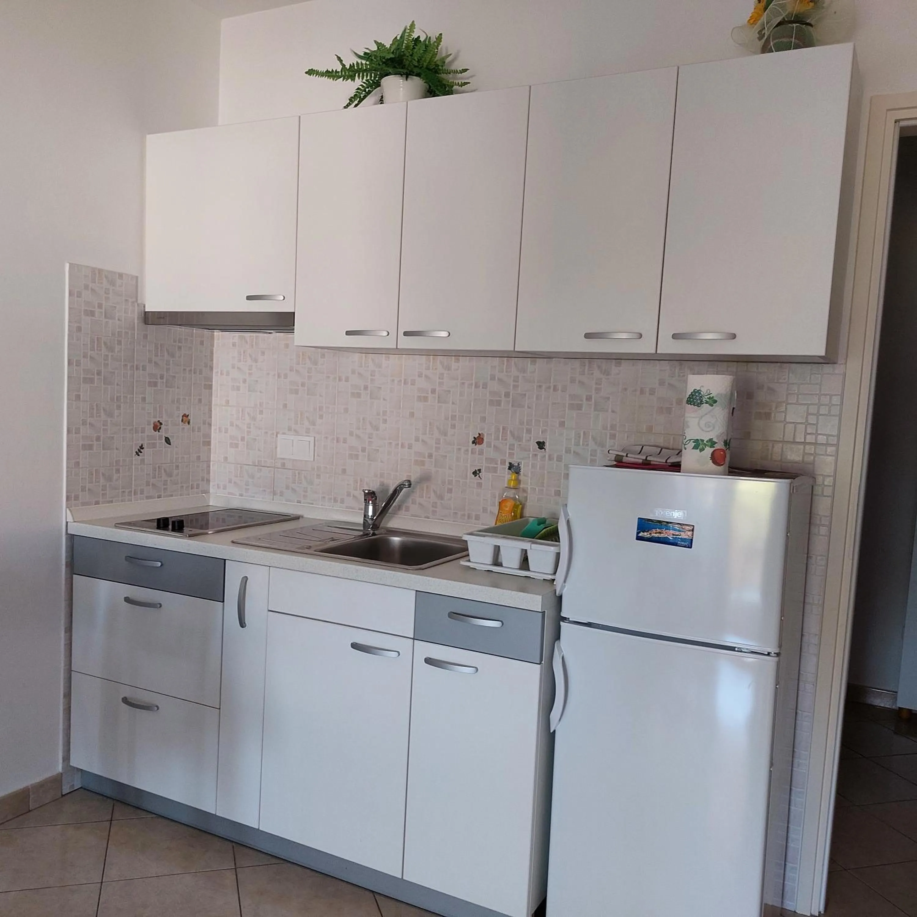 Kitchen or kitchenette in Apartment Ivana,Mali Maj
