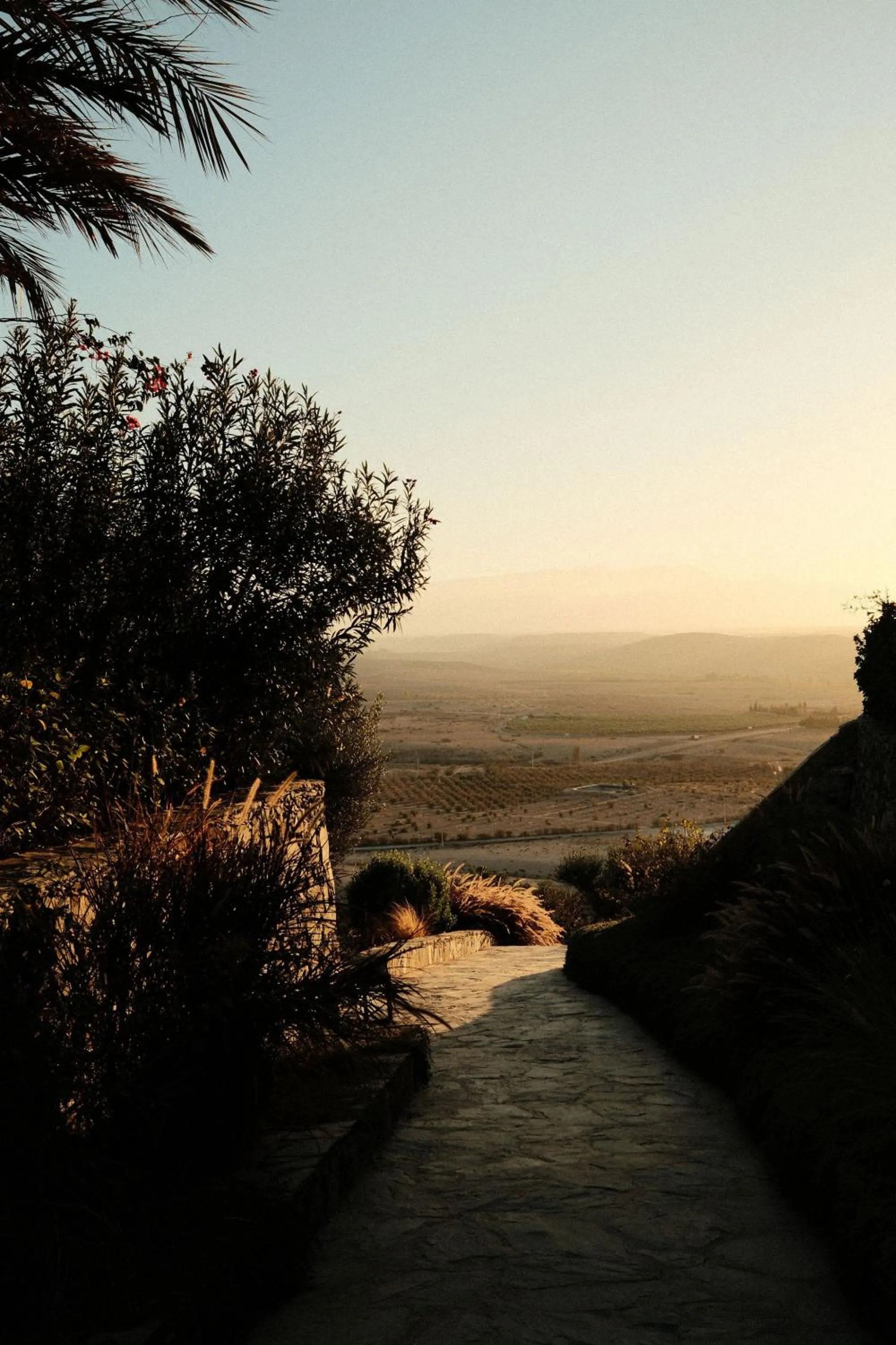 Garden in Kasbah d'if