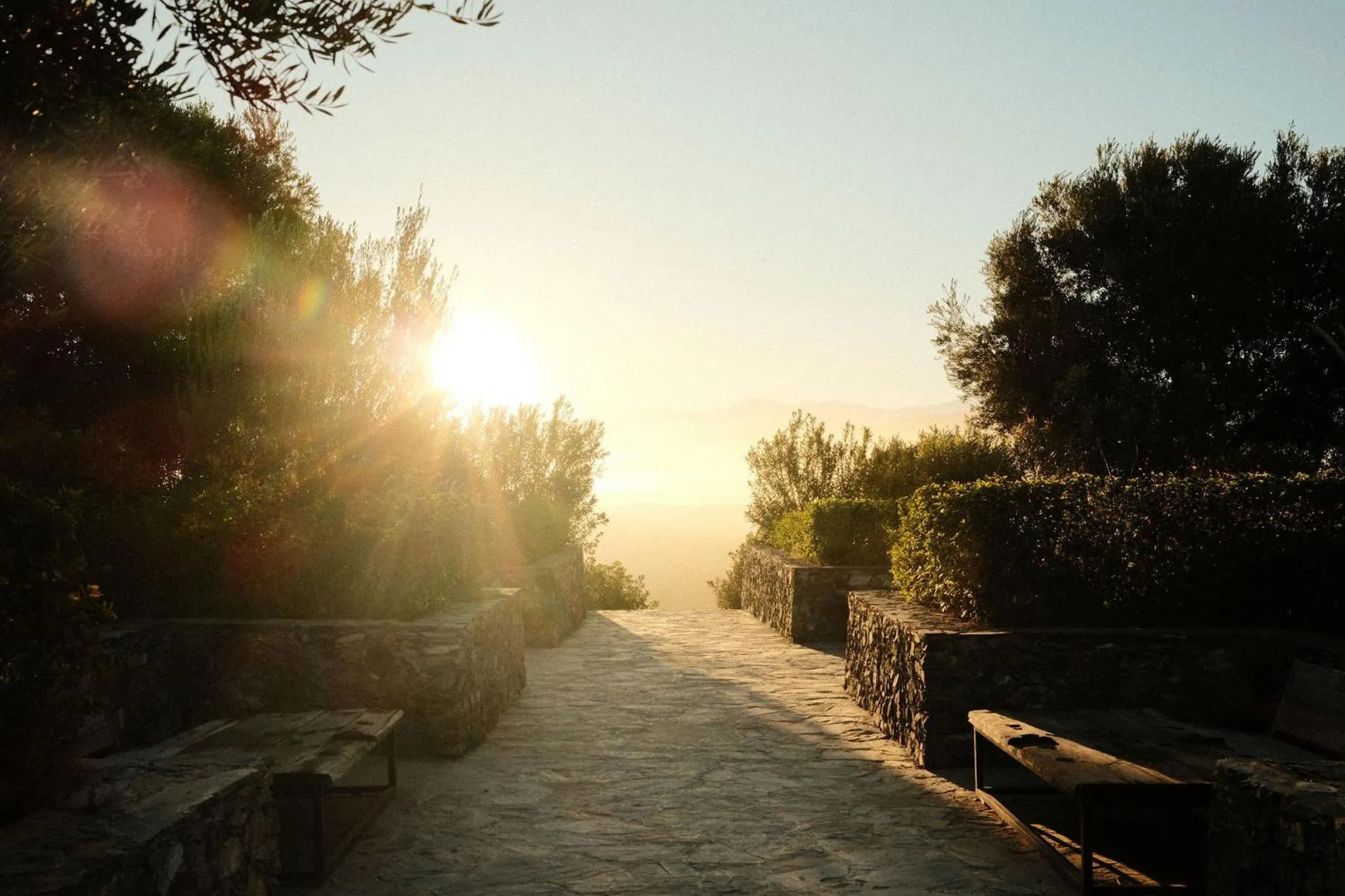 Garden in Kasbah d'if