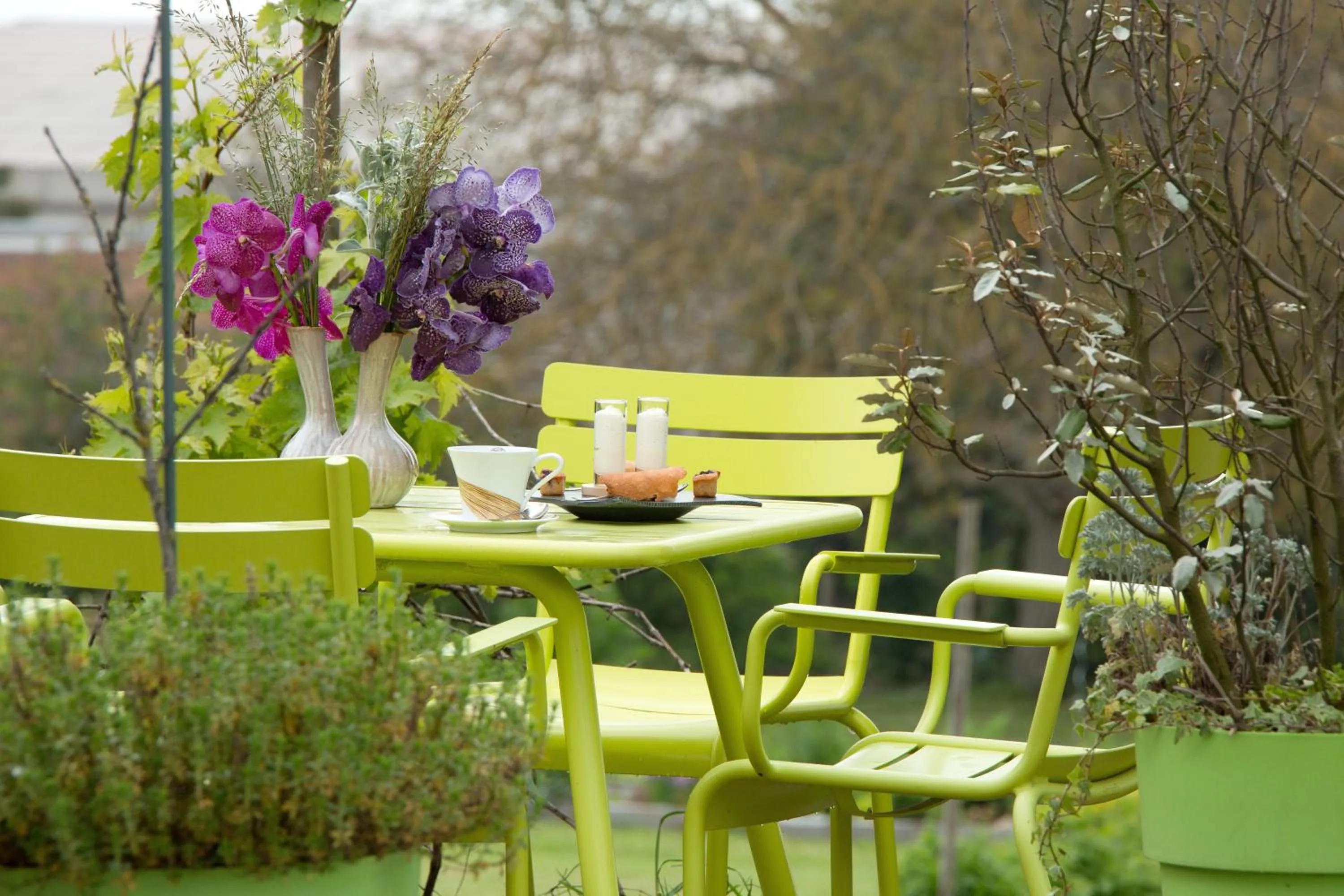 Garden in Hôtel de France