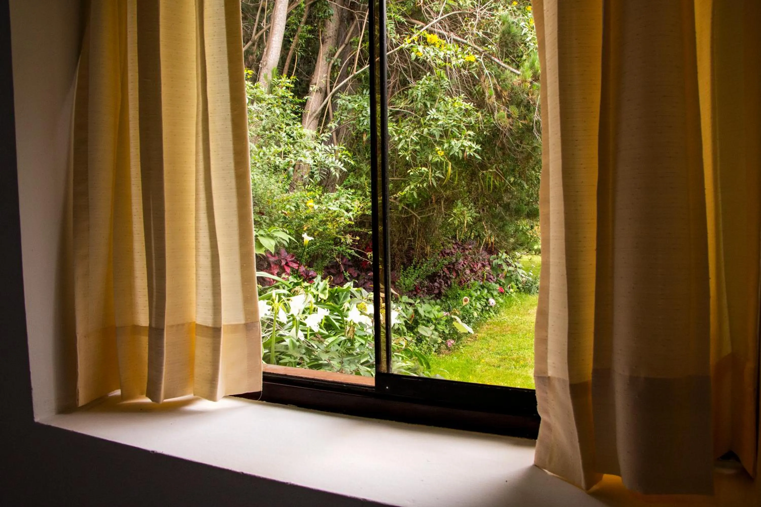 Garden view in Hotel Samanapaq