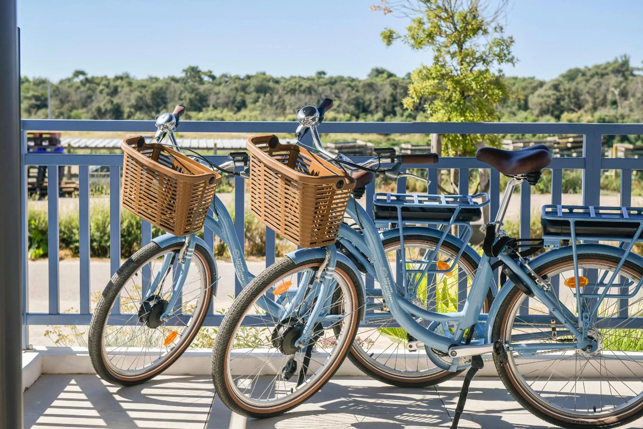 Cycling in Domaine Les Clayères