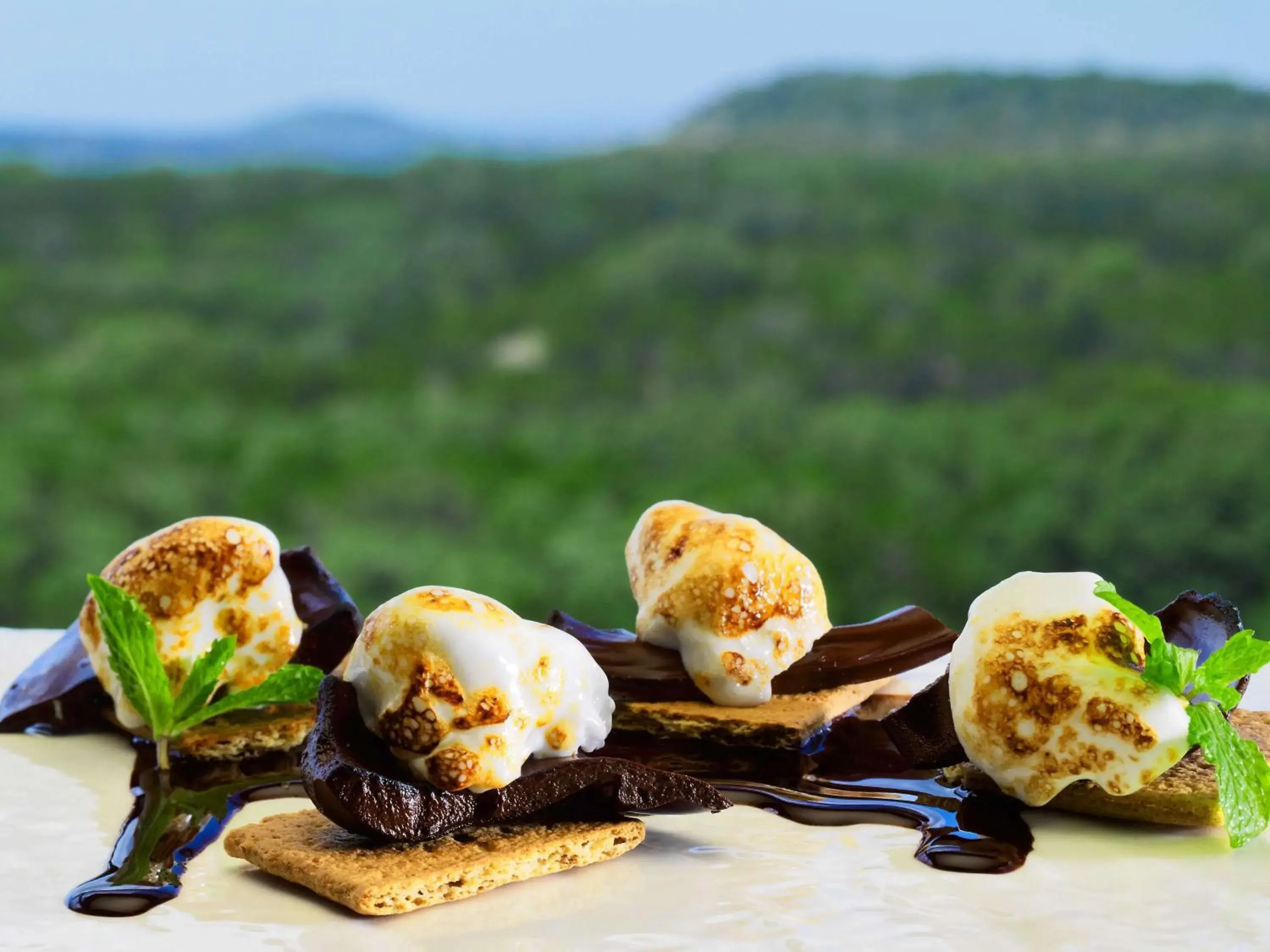 Restaurant/places to eat in Sonesta Bee Cave Austin Hill Country Restaurant/places to eat in Sonesta Bee Cave Austin Hill Country