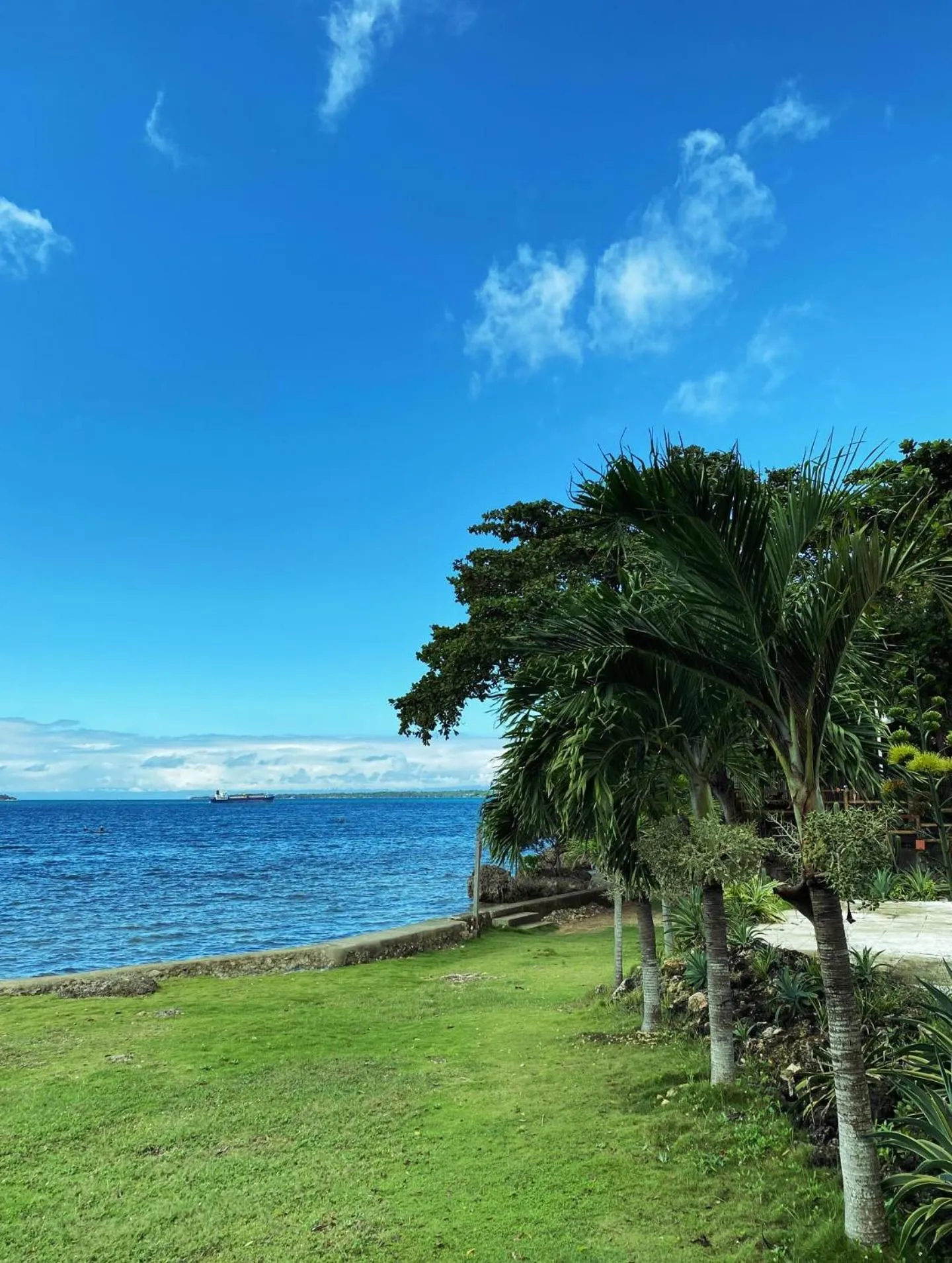 Natural landscape in Isla Hayahay Beach Resort and Restaurant
