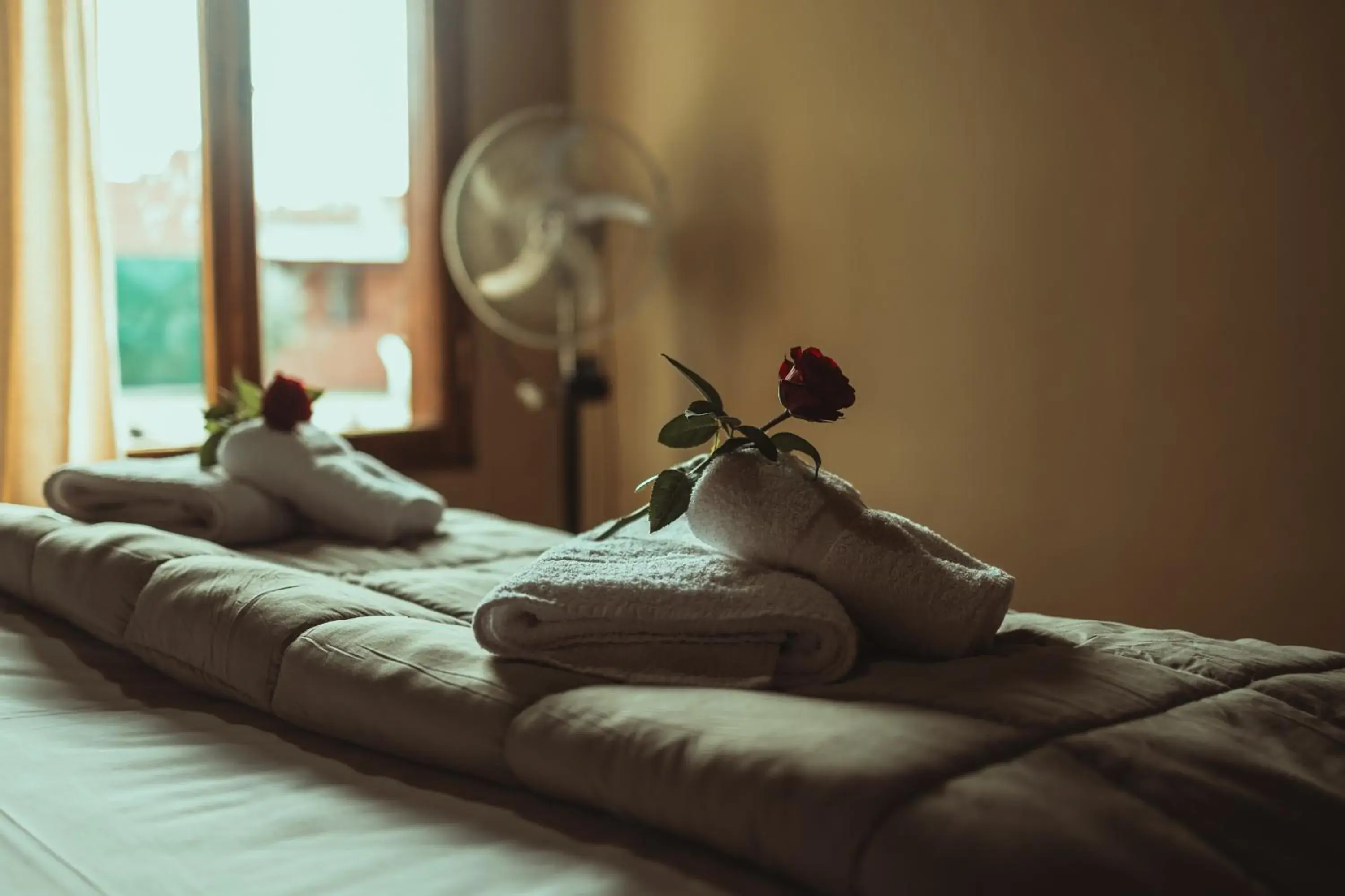 Deluxe One-Bedroom Apartment with Garden View in Hacienda ALTO MONTE Deluxe One-Bedroom Apartment with Garden View in Hacienda ALTO MONTE