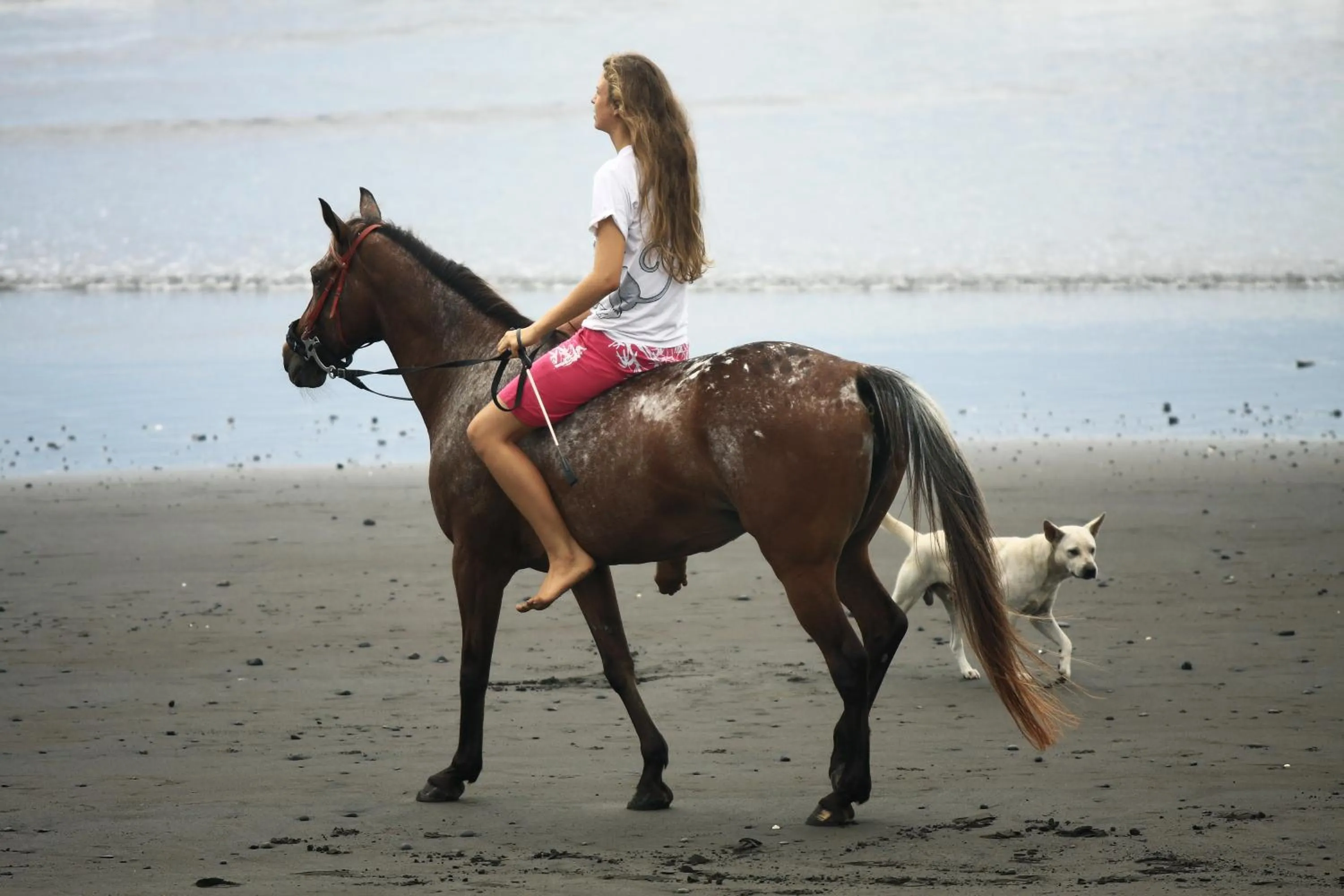 Activities in The Royal Purnama Luxury Villas - Adults Only