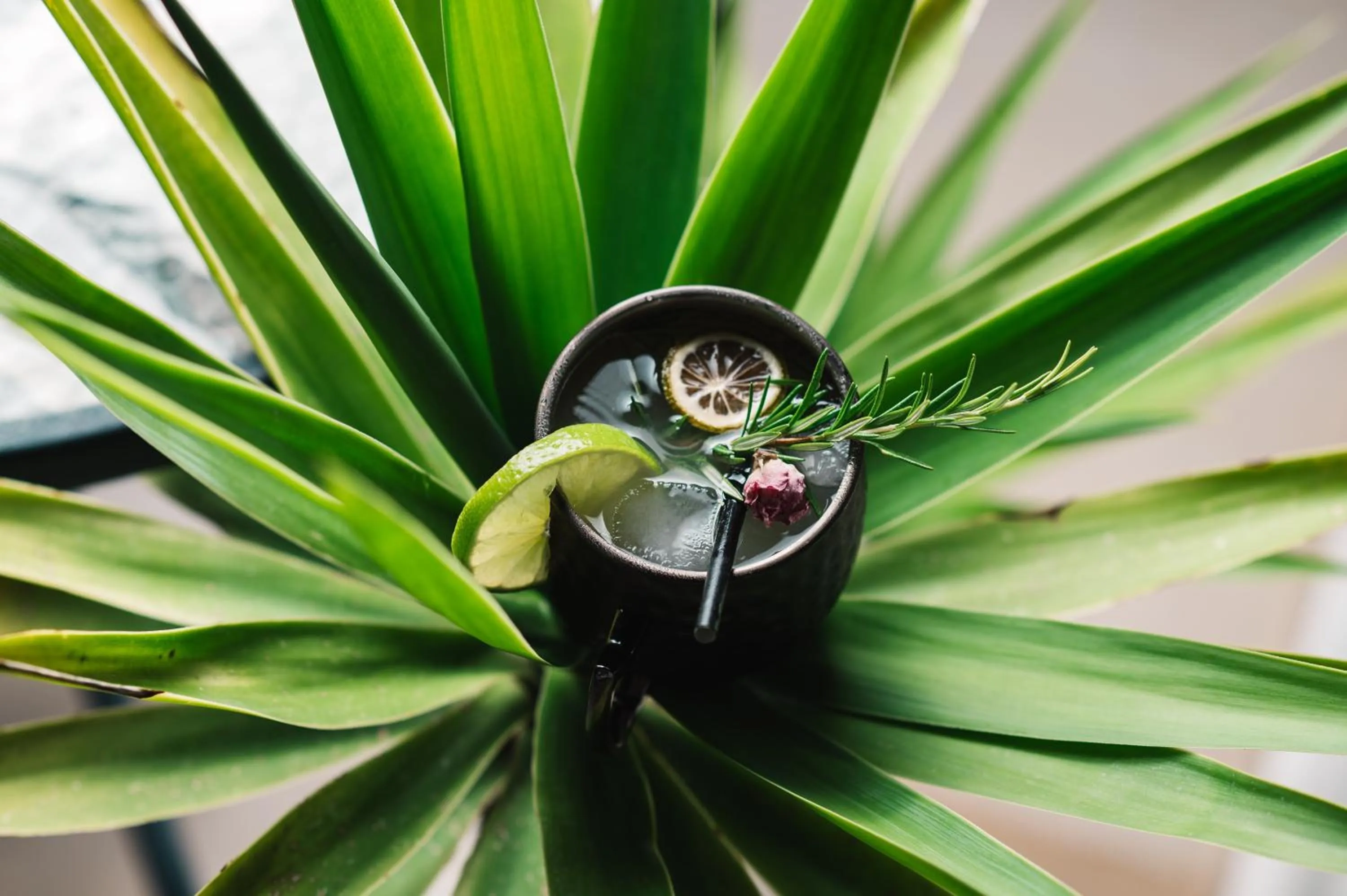 Lounge or bar in Villa Oleander