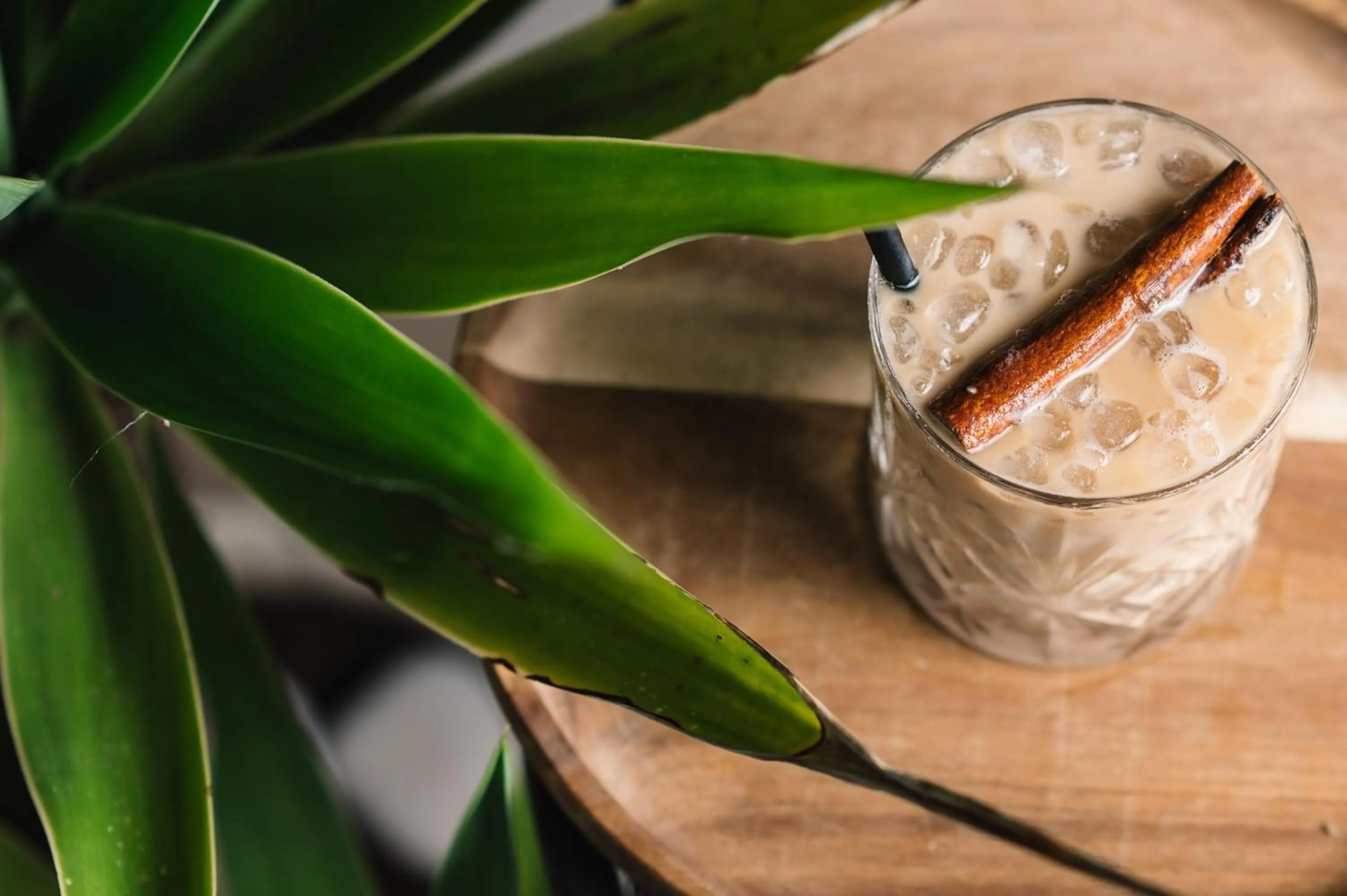 Balcony/Terrace in Villa Oleander