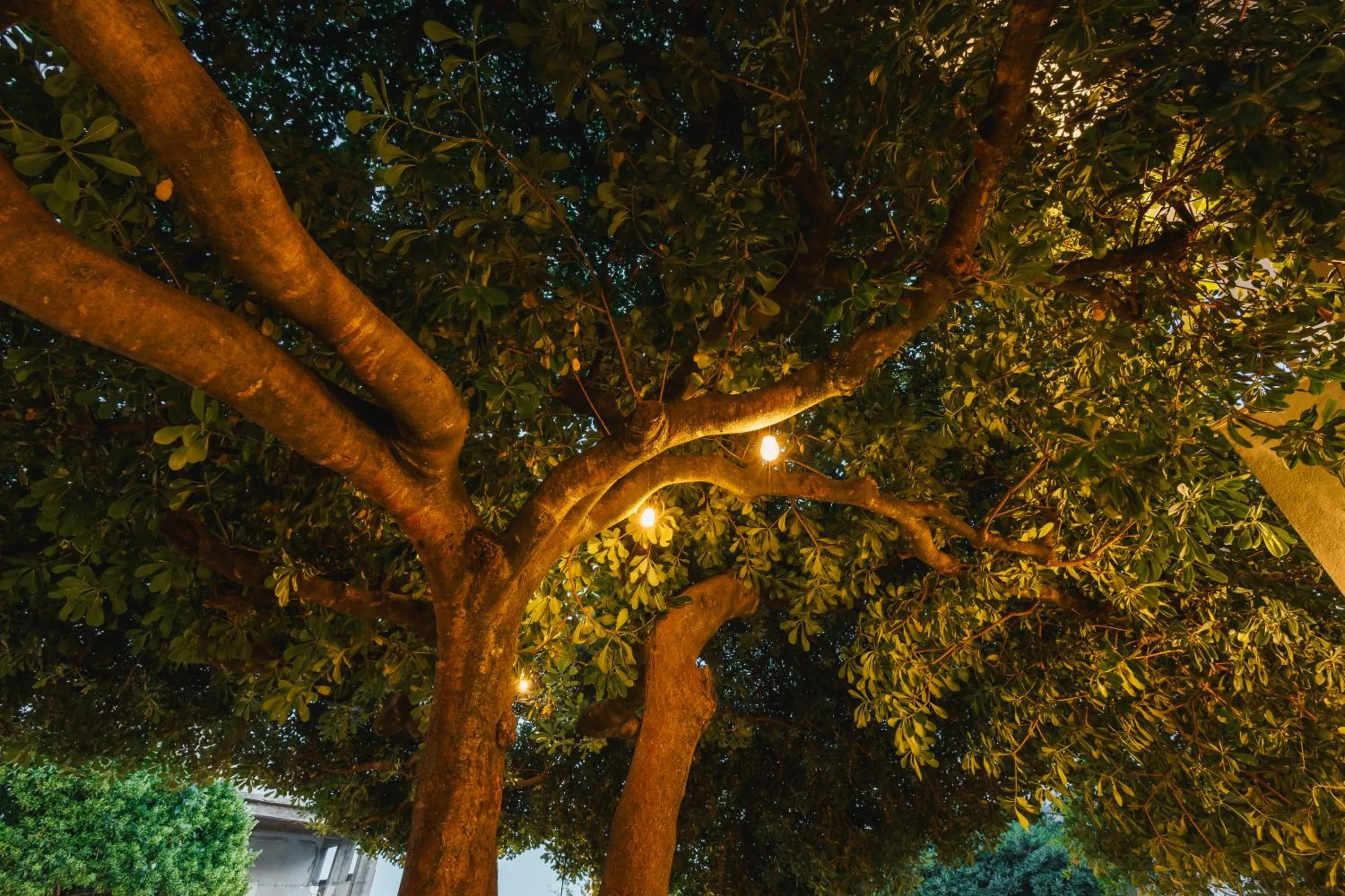 Spring in Villa Oleander