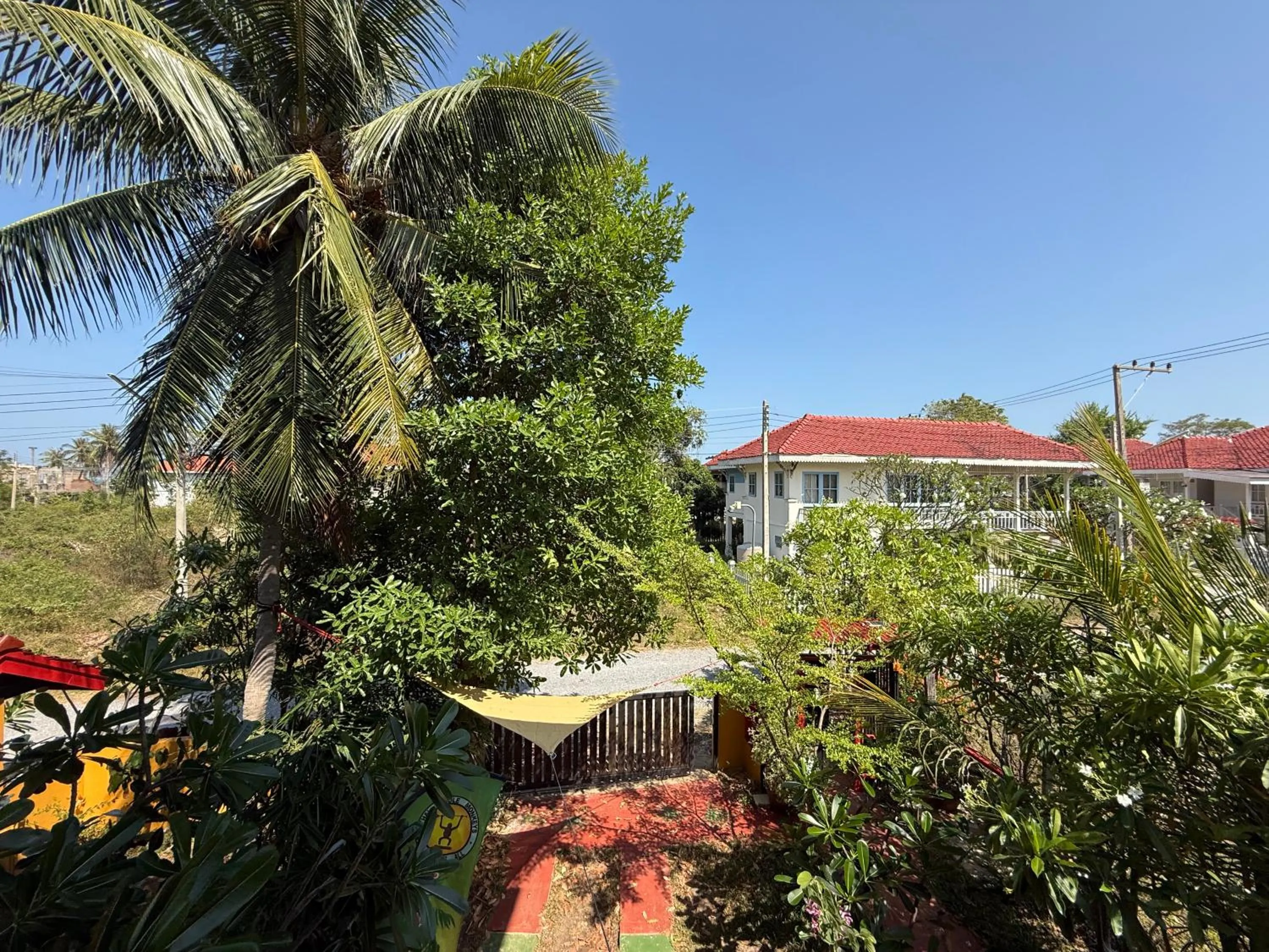 Day in Golden Mango House