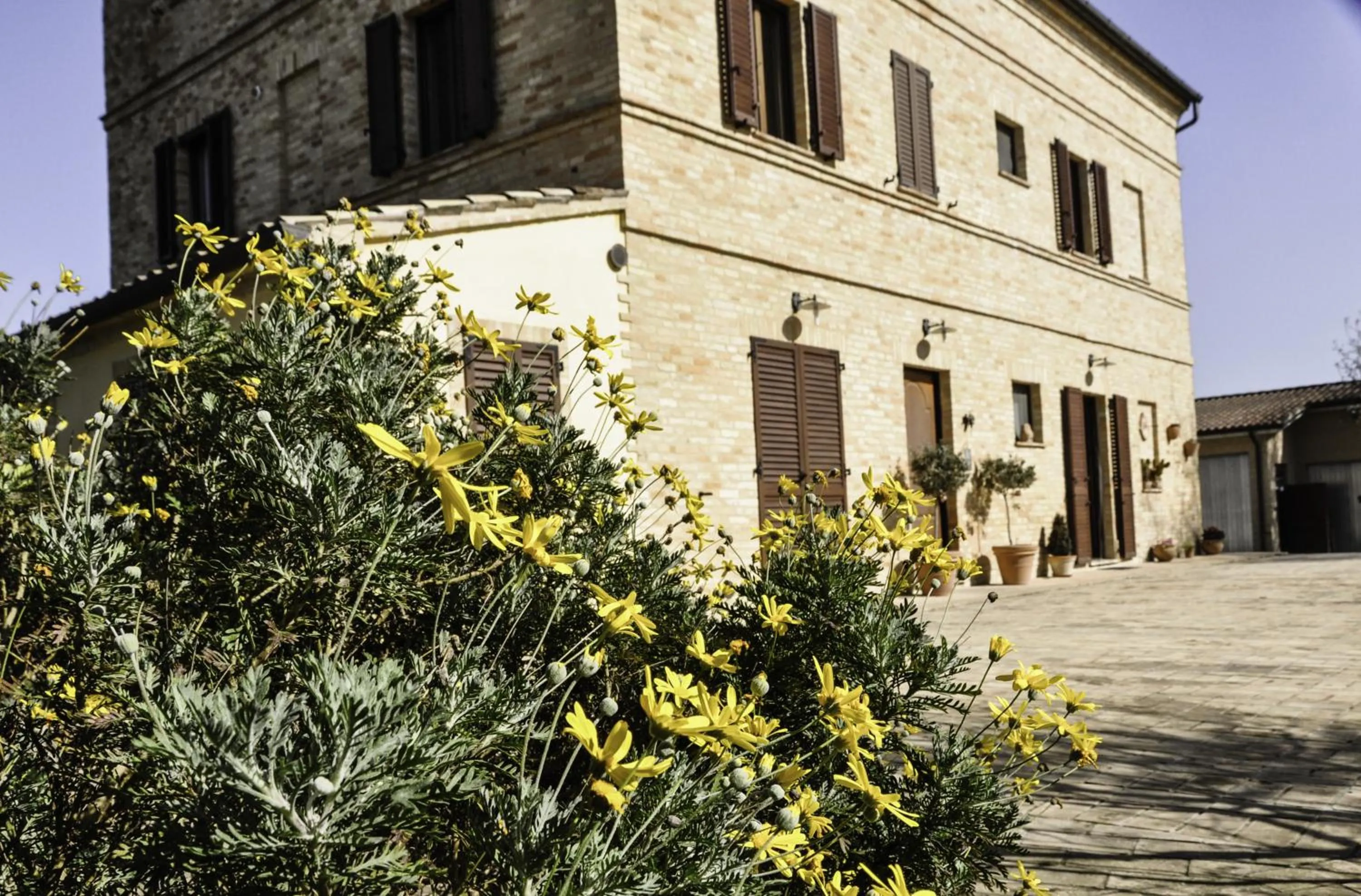 Facade/entrance in Affittacamere le Querce