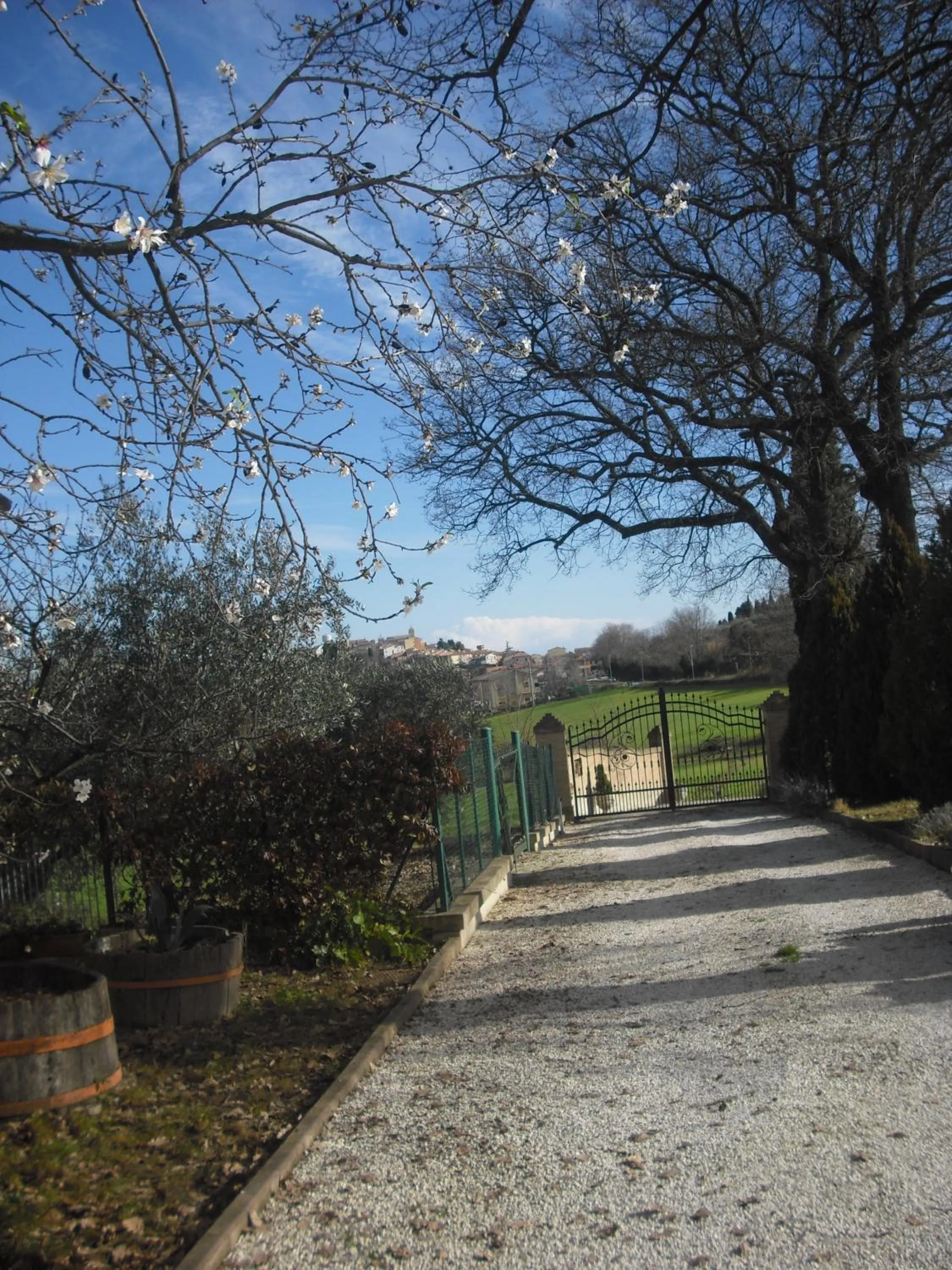 Street view in Affittacamere le Querce