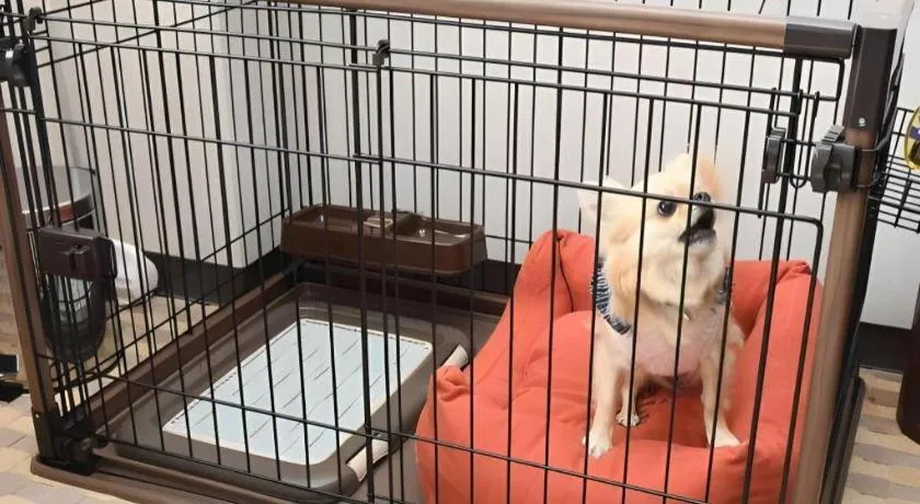 Bed in Gifu Grand Hotel