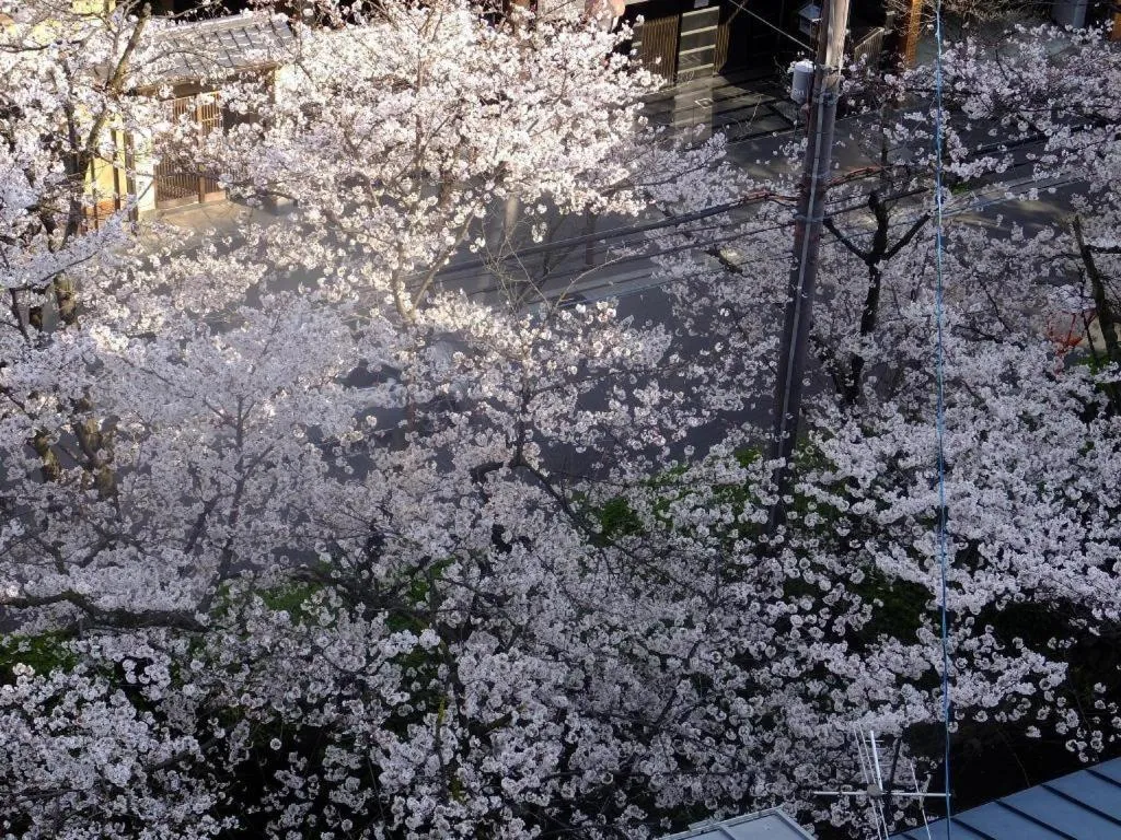 Hotel Sunroute Kyoto