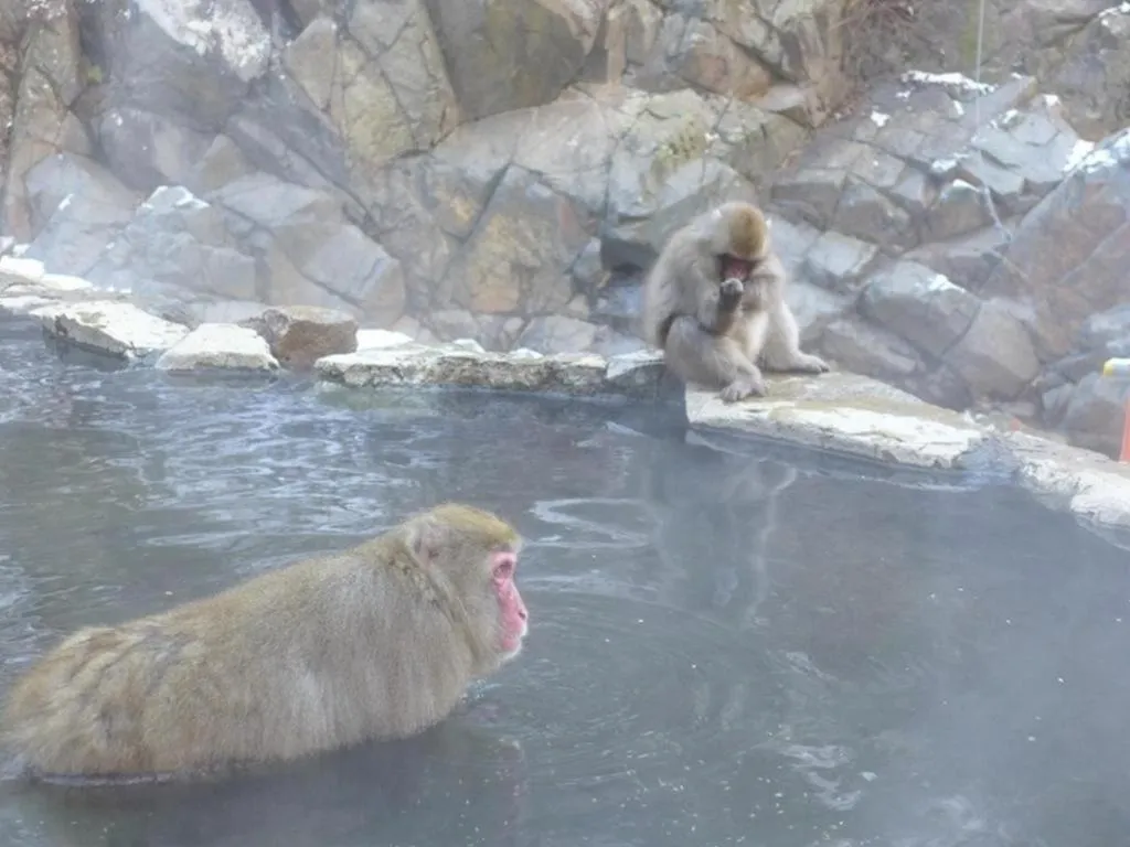 Sotetsu Fresa Inn Nagano eki Higashiguhci