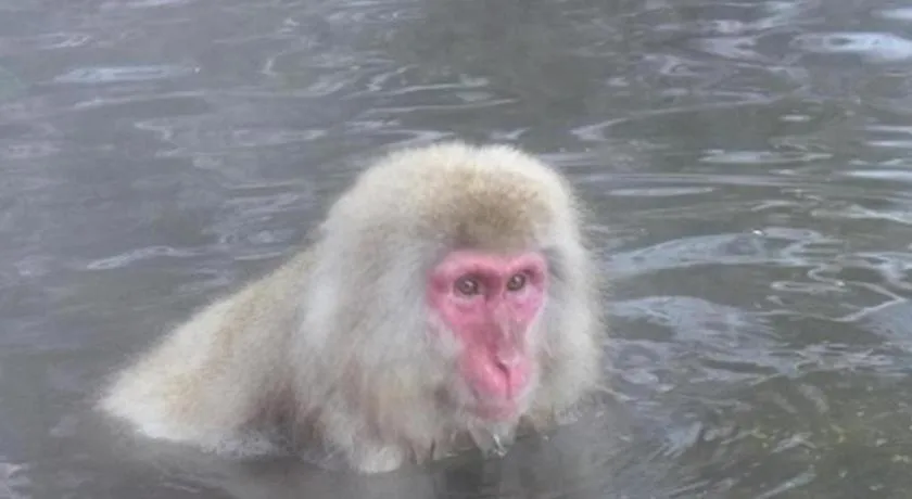 Sotetsu Fresa Inn Nagano eki Higashiguhci