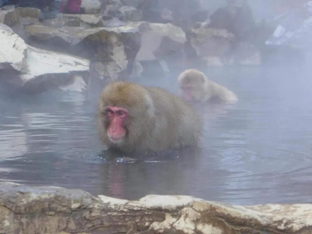 Sotetsu Fresa Inn Nagano eki Higashiguhci