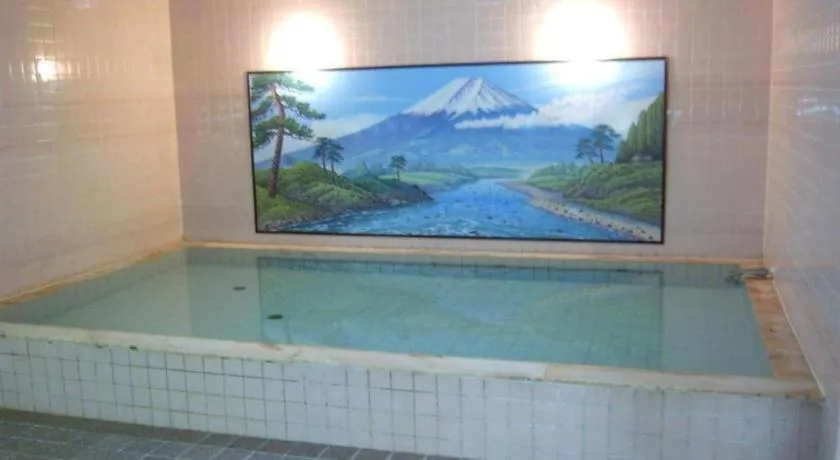 Tokyo Business Hotel