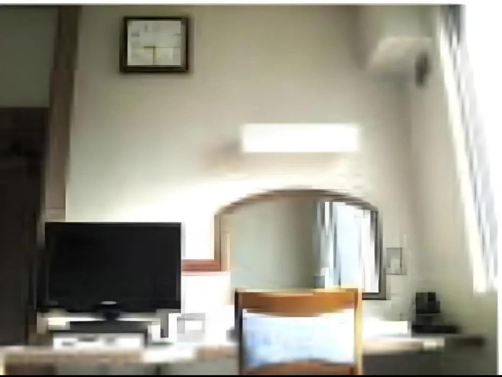 Tokyo Business Hotel