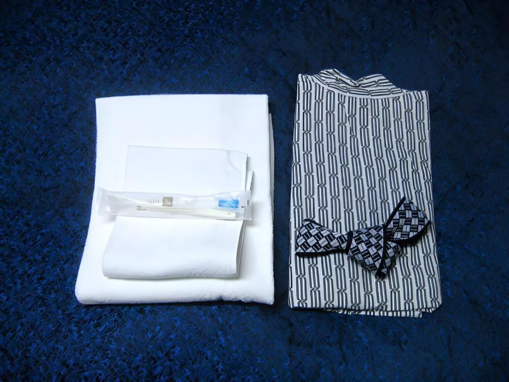 Tokyo Business Hotel