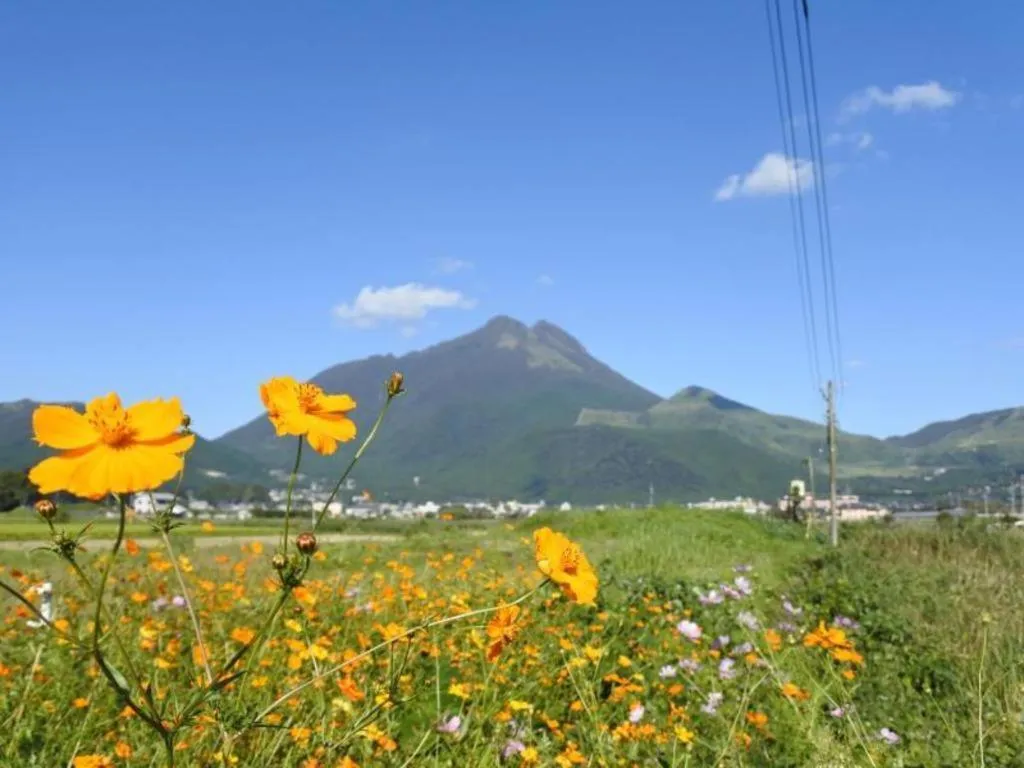 Secret Base Tokinokakera