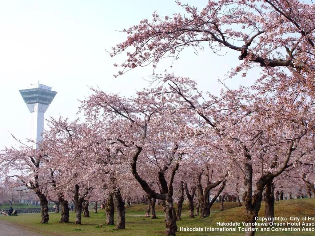 Super Hotel Hakodate