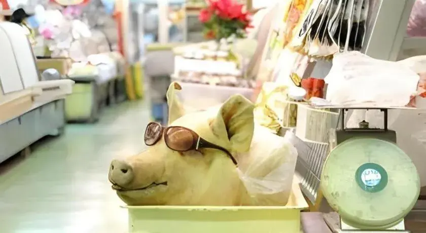 Condominio Makishi Condominio Makishi