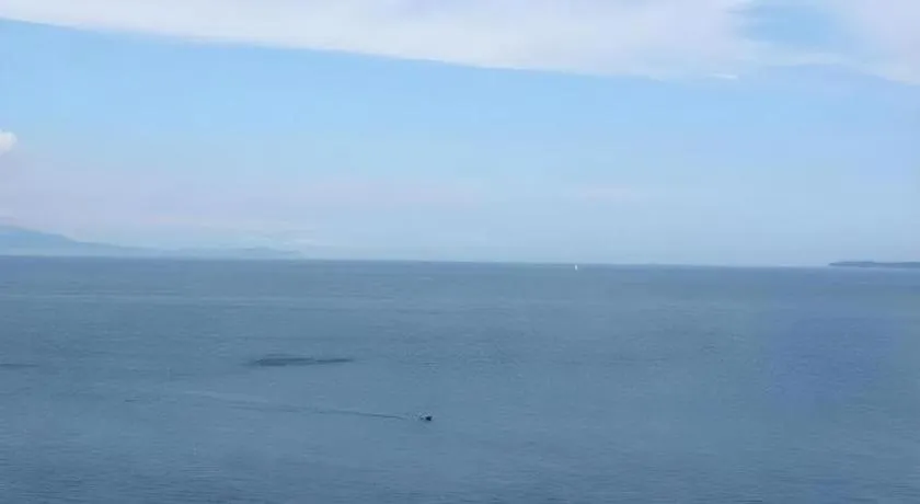 Luxury Wa Hotel Kaze No Kaori