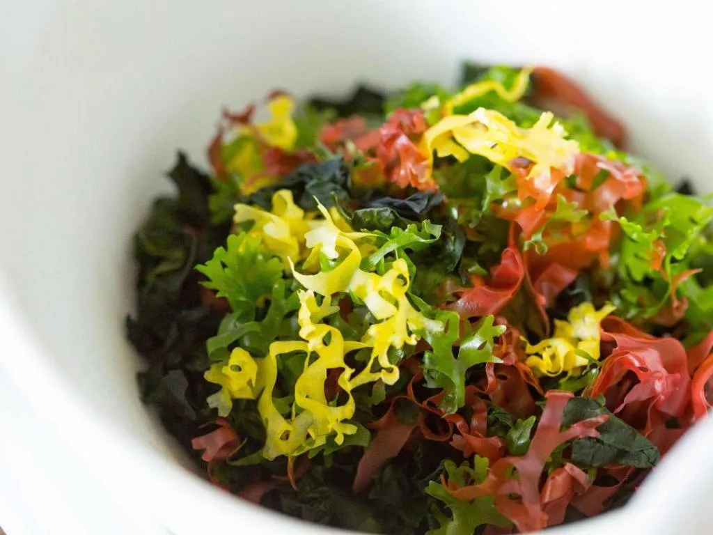 Hotel AreaOne Miyazaki City