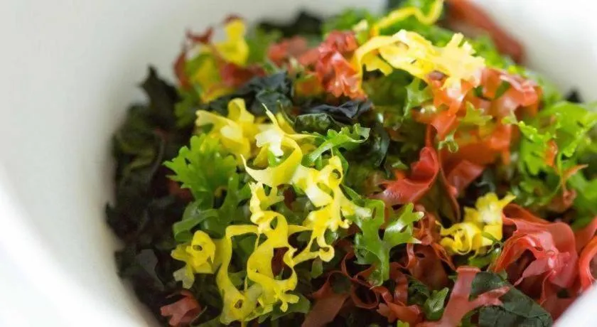 Hotel AreaOne Miyazaki City