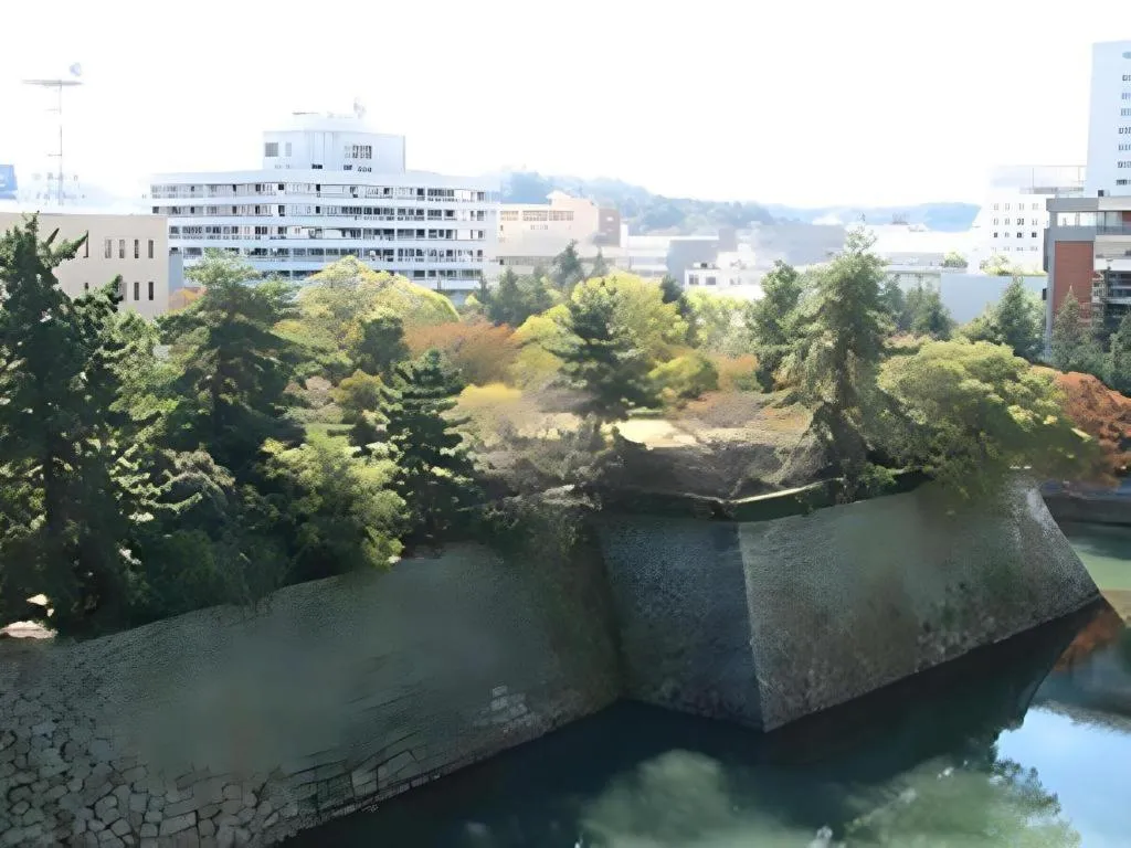Hotel Fukui Castle