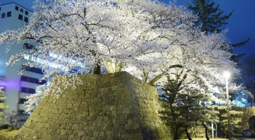 Hotel Fukui Castle
