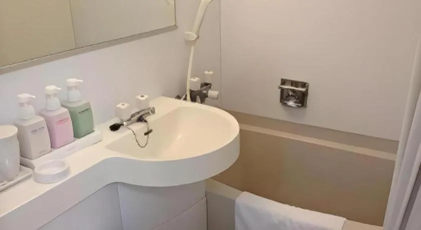 Hotel Annex Check In Shimbashi