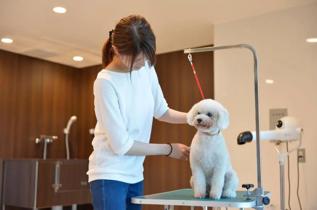 Izumigo Toba Dog Paradise Hotel