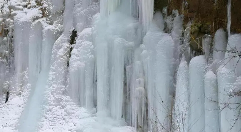 Hotel Harvest Tateshina