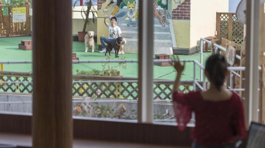 Izukogen Wanwan Paradise Condominium