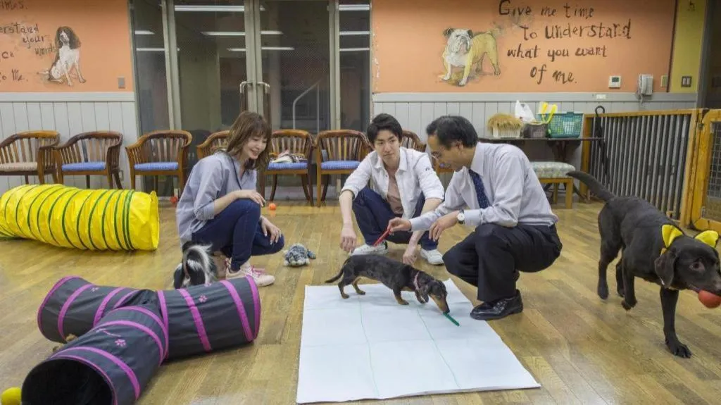 Izukogen Wanwan Paradise Condominium