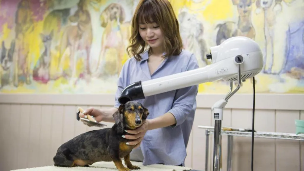 Izukogen Wanwan Paradise Condominium