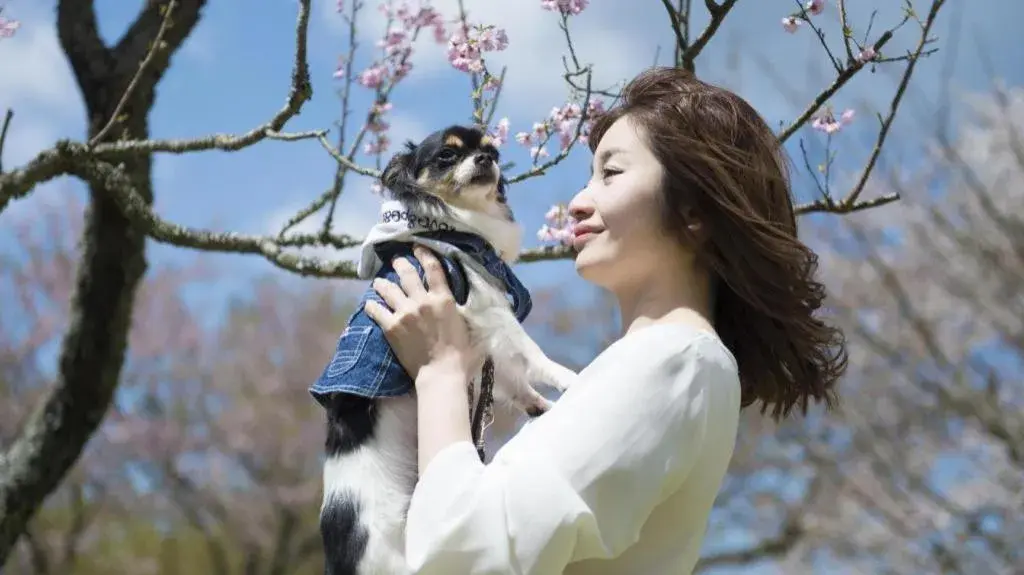 Izukogen Wanwan Paradise Condominium Izukogen Wanwan Paradise Condominium