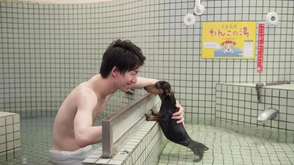 Izukogen Wanwan Paradise Condominium