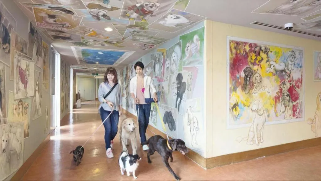 Izukogen Wanwan Paradise Condominium