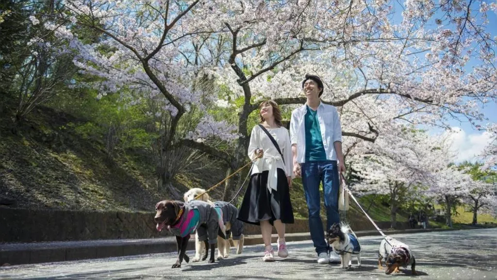 Izukogen Wanwan Paradise Condominium